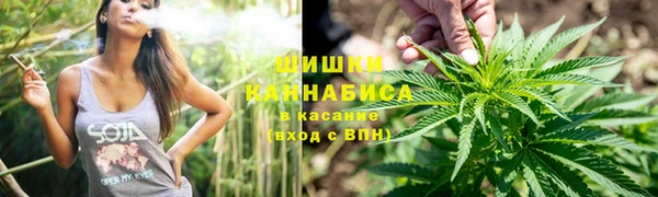 дмт Гусь-Хрустальный